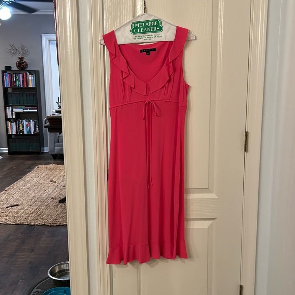 NWOT Parallel dress